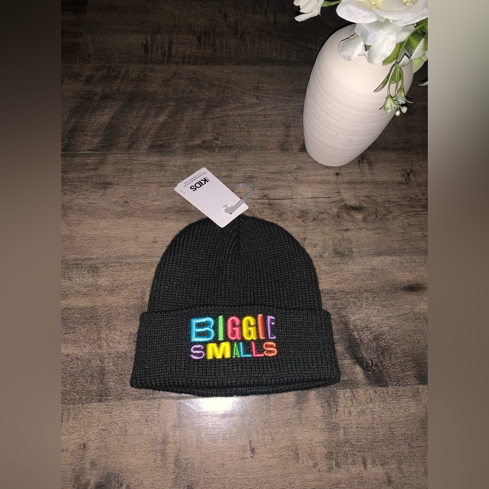 NWT BIGGIE SMALLS MULTICOLORED BABY BEENIE